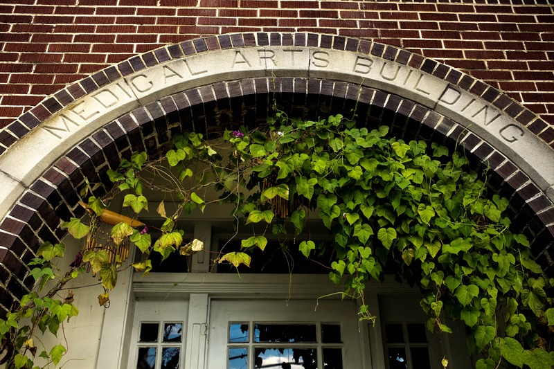 Nature's Embrace of Architecture