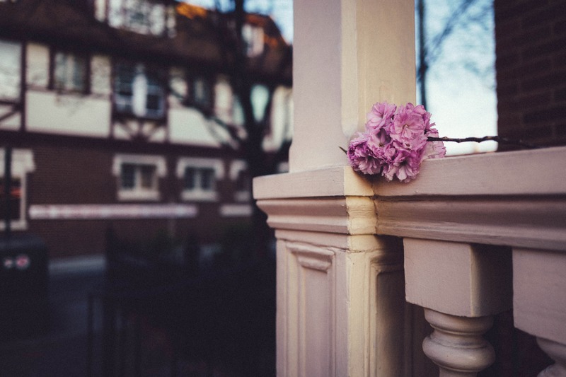 Fragile Bloom Against Structure