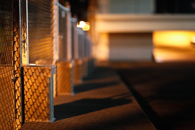 Night Shadows and Light