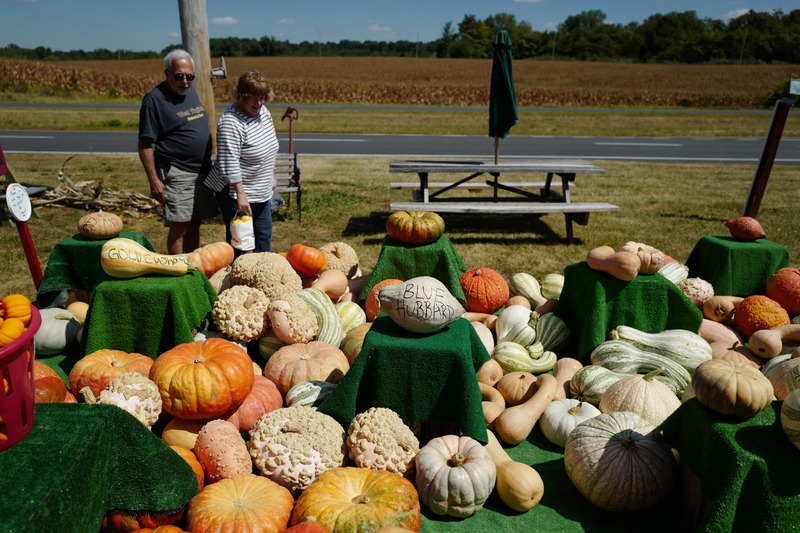 Autumn Harvest Display