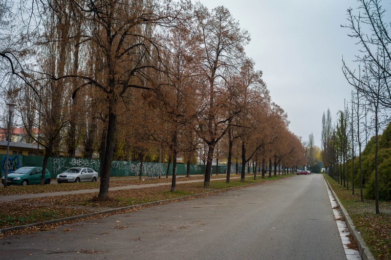 Autumn's Quiet Embrace