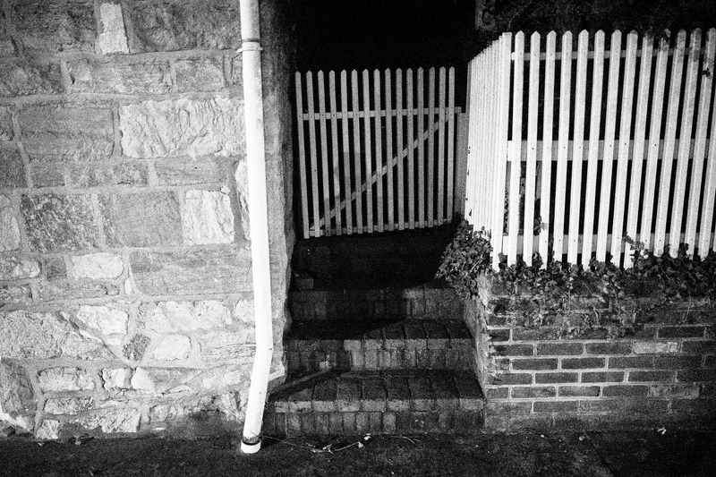 Whispers of the Night