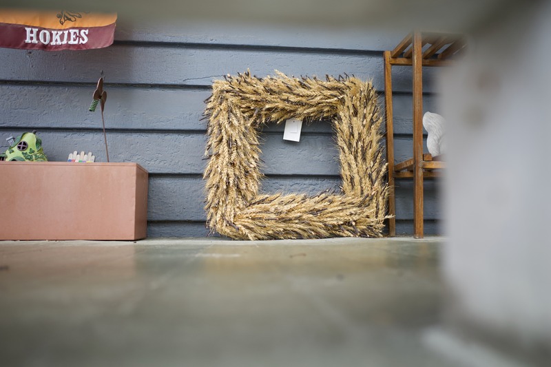 Rustic Frame in Focus