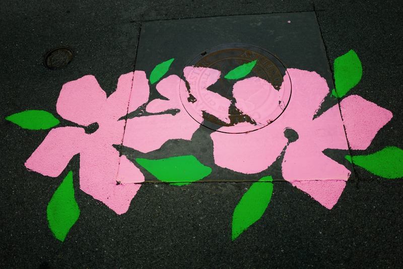 Urban Floral Contrast