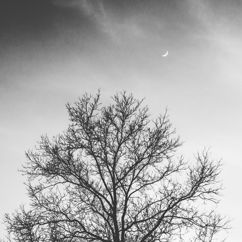 Silhouette of Solitude