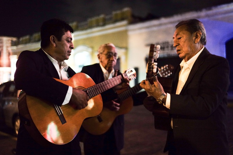 Melody Under Moonlight