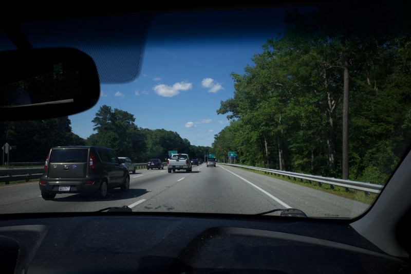 Journey Through Greenery