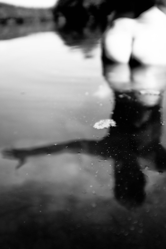 Reflections in Tranquility