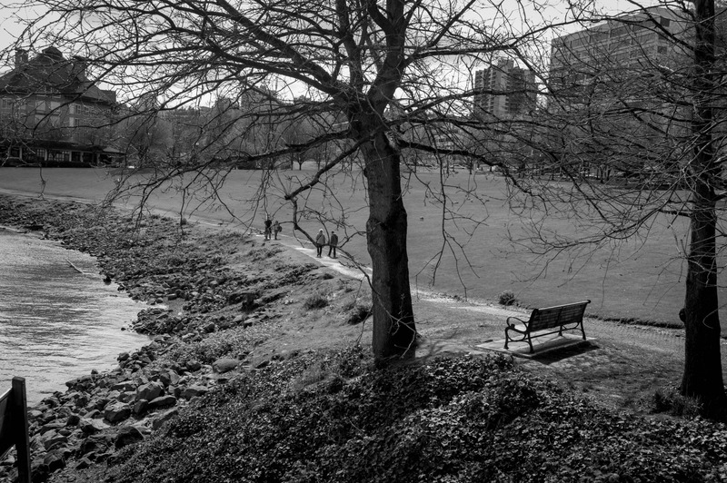 Solitude by the Water