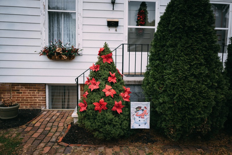 Festive Winter Charm