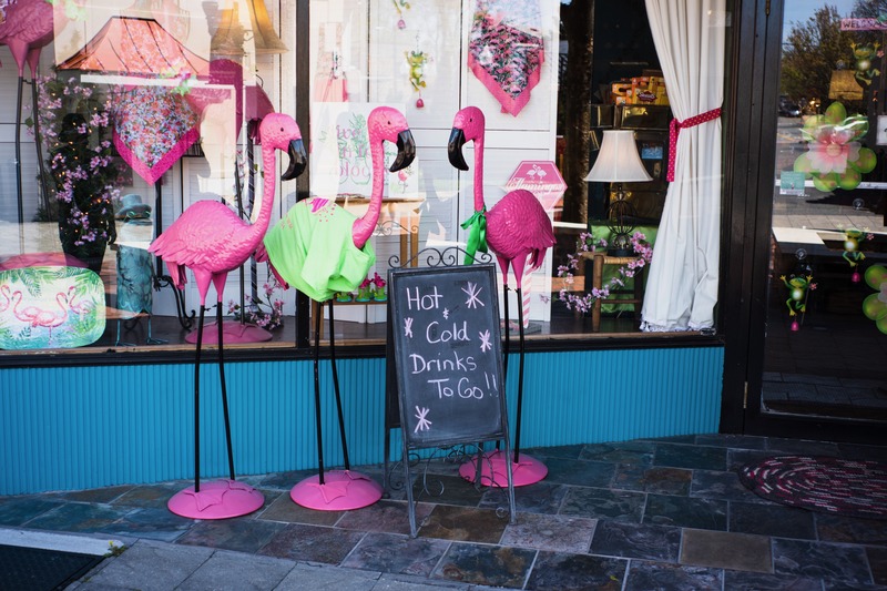 Vibrant Flamingo Display