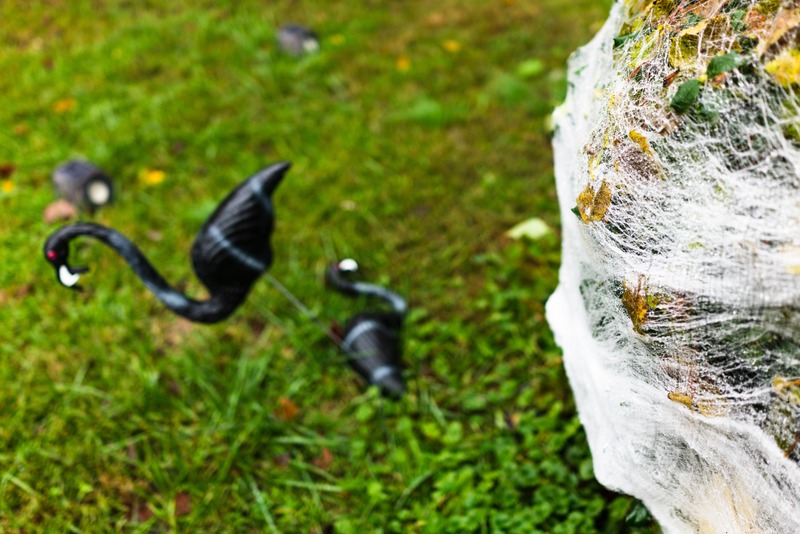 Whimsical Garden Shadows