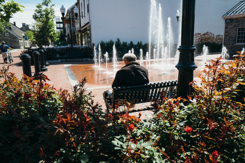 Serenity in the Sunlight