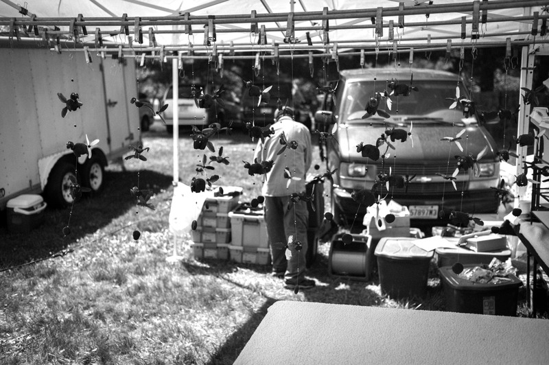 Silhouettes in Black and White