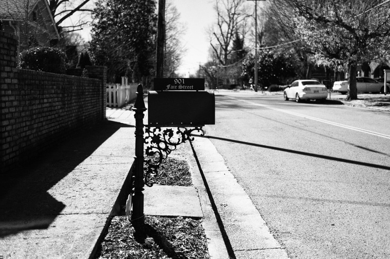 Quiet Avenue in Black and White