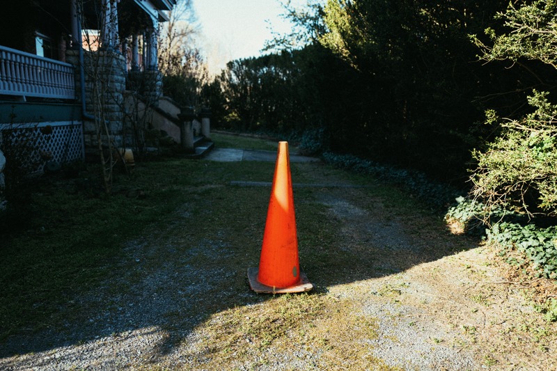 Lone Cone in Soft Light