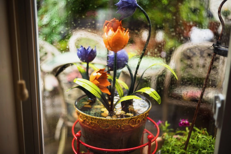 Through the Rainy Glass