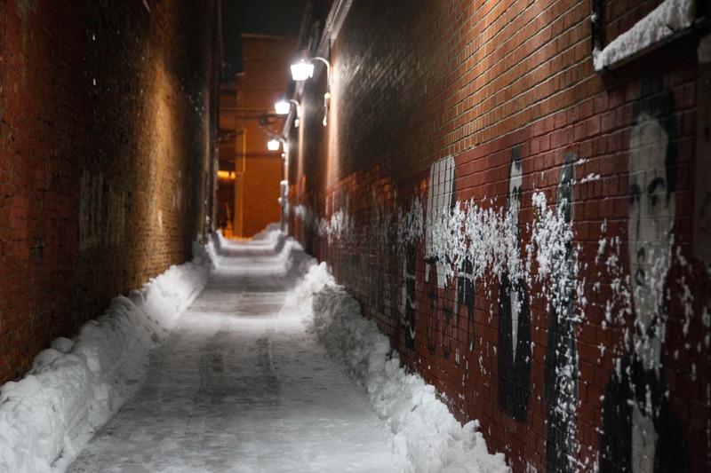 Whispering Shadows in Snow