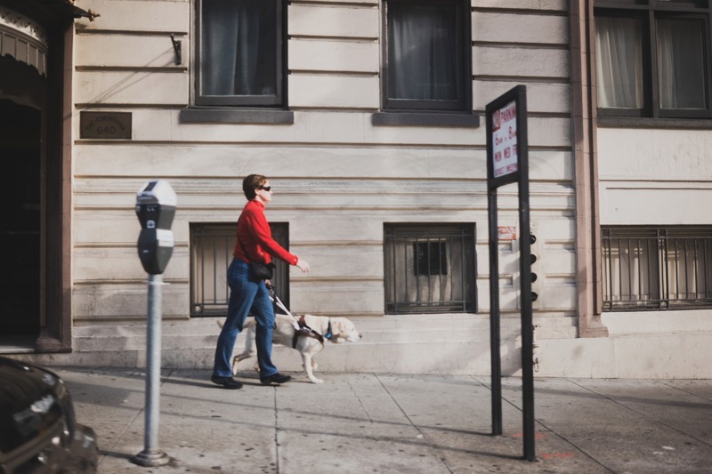 Urban Stroll with a Companion