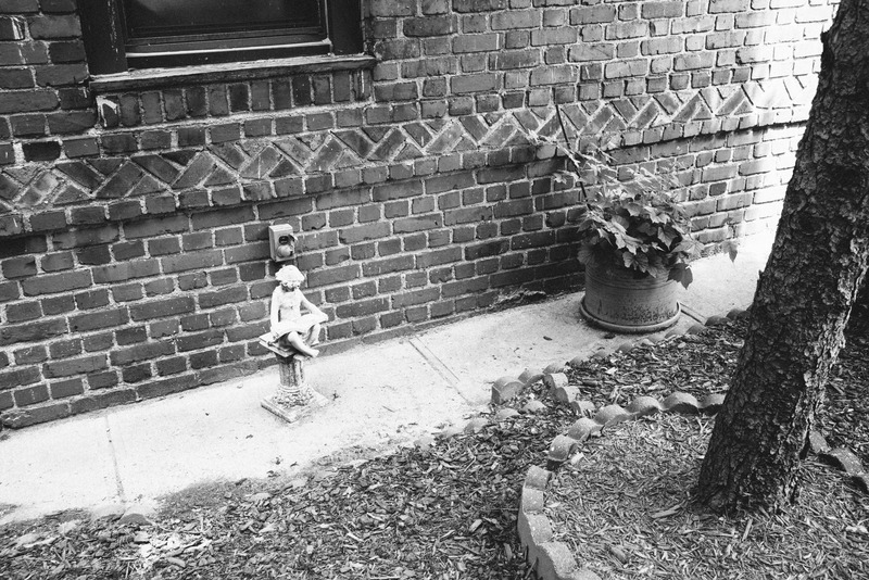 Quiet Corner of Solitude