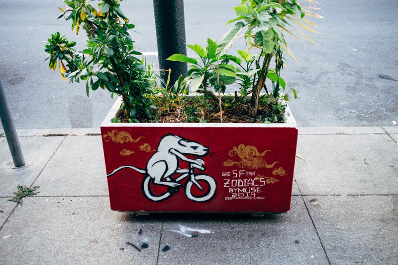 Urban Greenery and Art