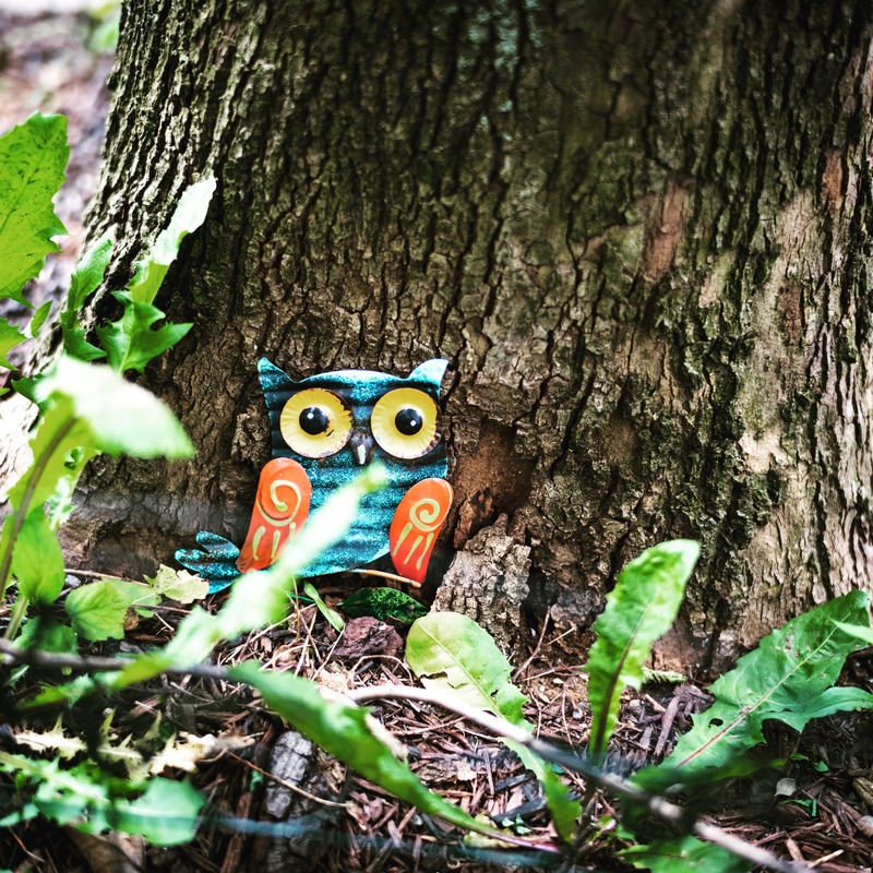 Whimsical Forest Guardian