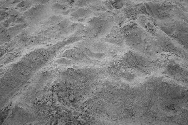 Whispers of the Shore