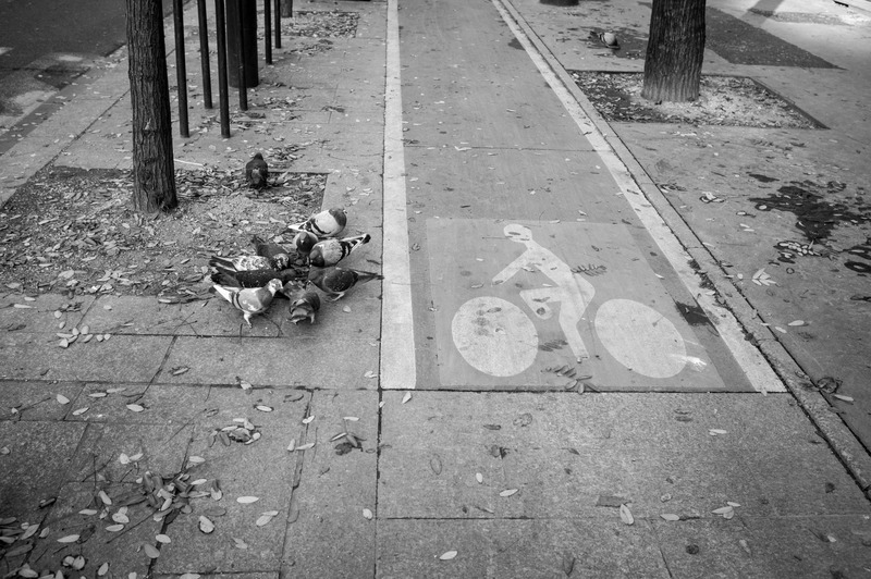 Urban Serenity and Chaos