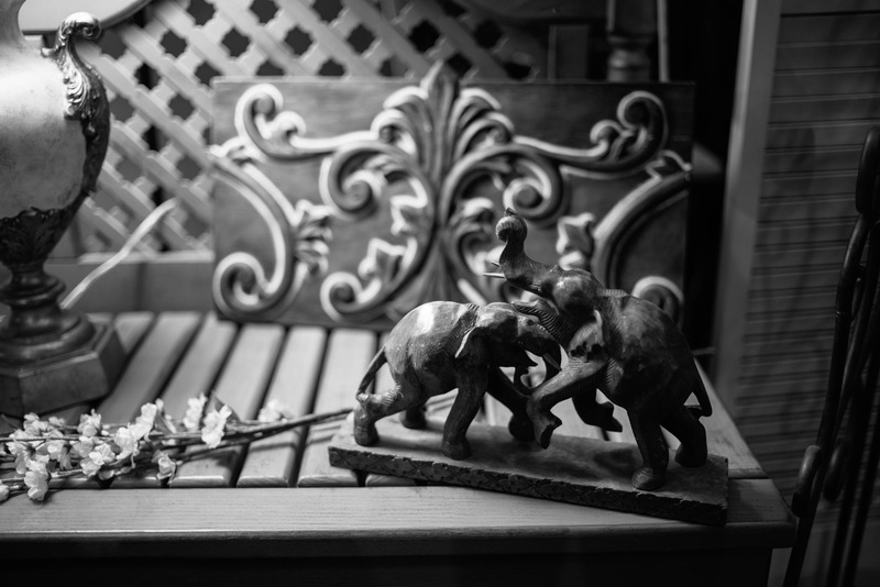 Dancing Elephants in Shadow