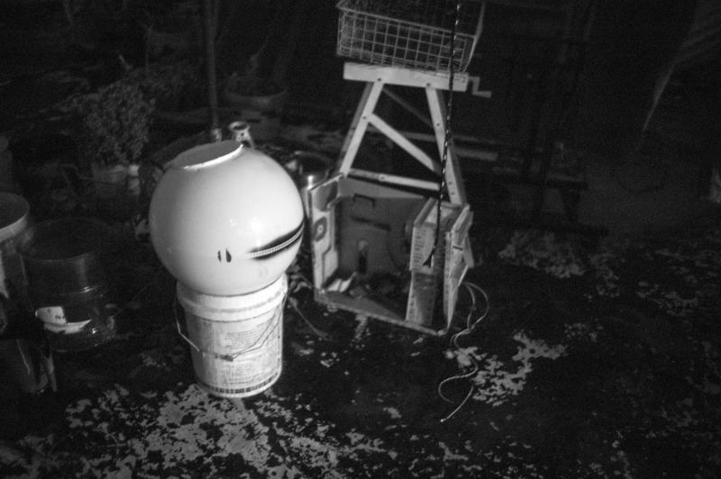 Fragmented Stillness