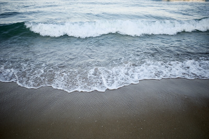 Whispers of the Shore