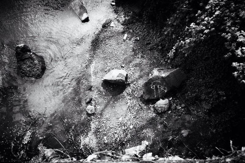 Tranquil Moments by the Water