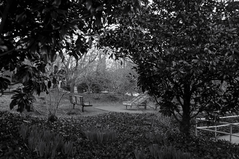 Whispers of Solitude