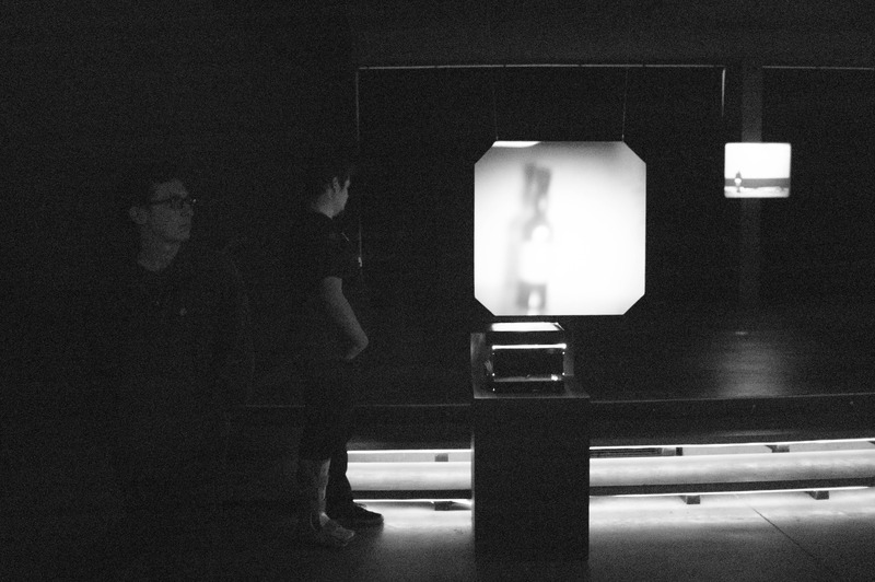 Shadows in Stillness