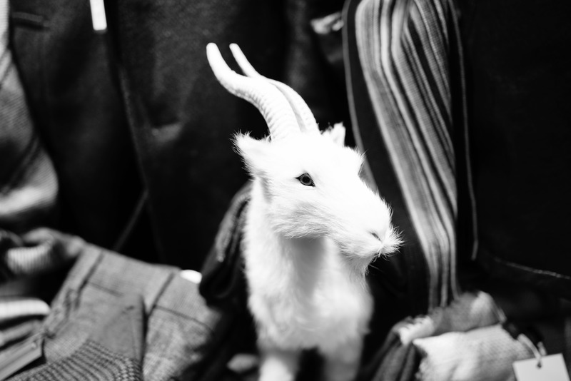 Unexpected Encounter