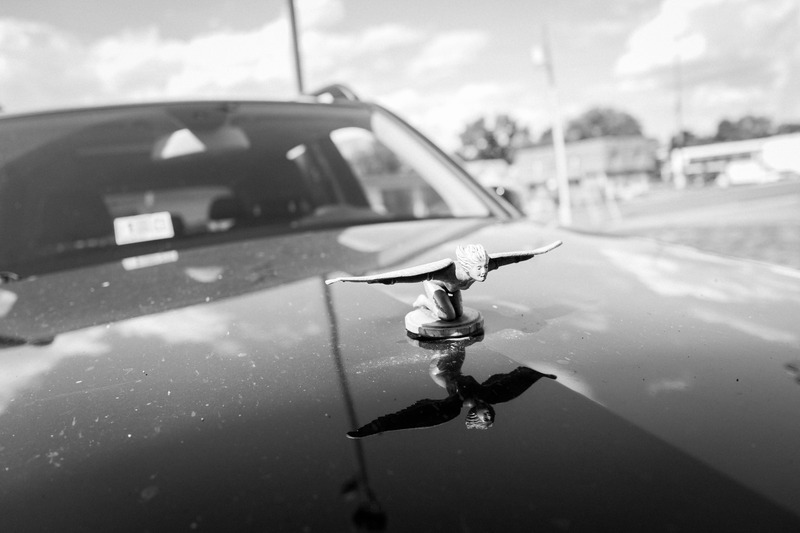 Elegance in Monochrome