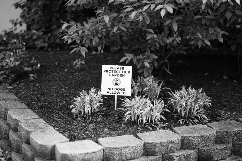 Guarding Nature's Serenity