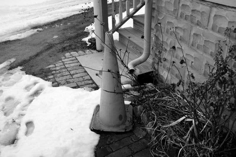 Winter's Forgotten Corner