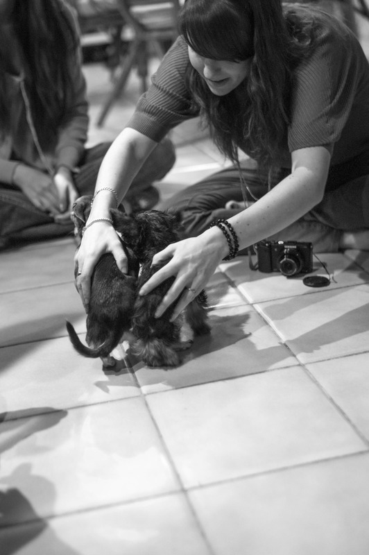 Joyful Puppy Moments