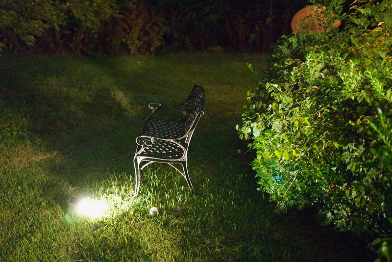 Solitude in the Garden