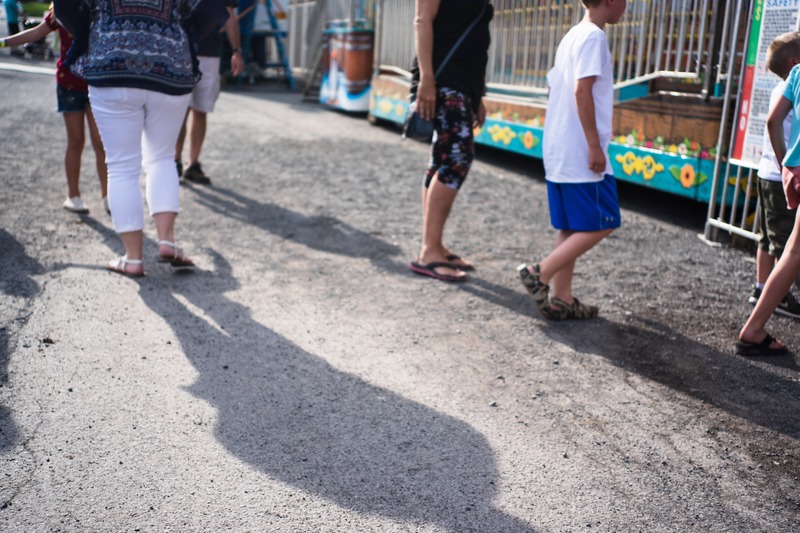 Shadows of Summer Wanderers