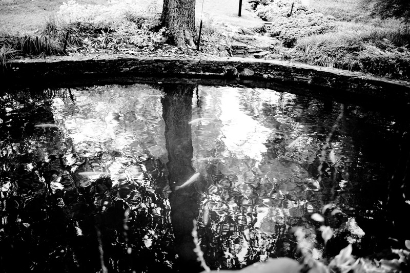 Reflections in Still Water