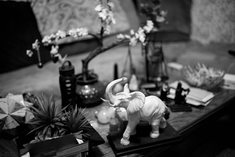 Still Life with Elephant