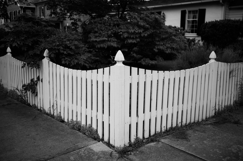 Whispers of a White Fence