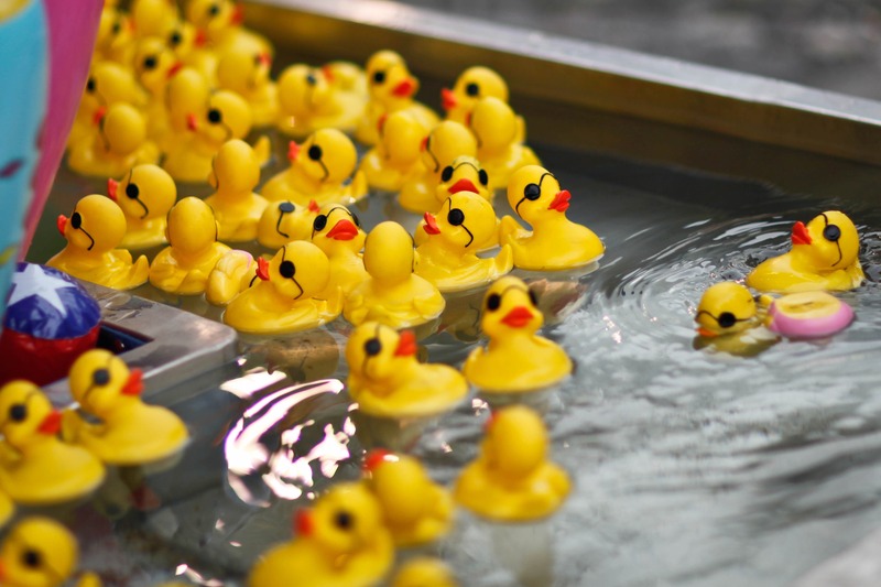 Playful Duckling Parade