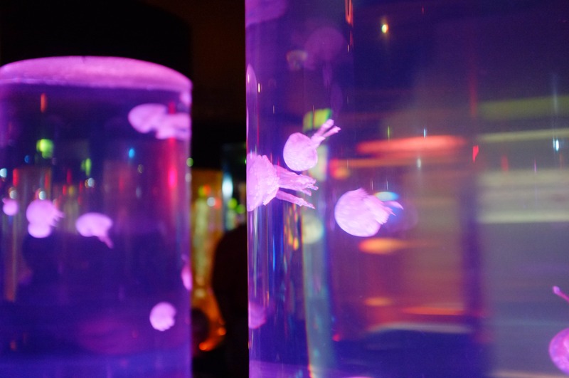 Luminescent Jellyfish Dance